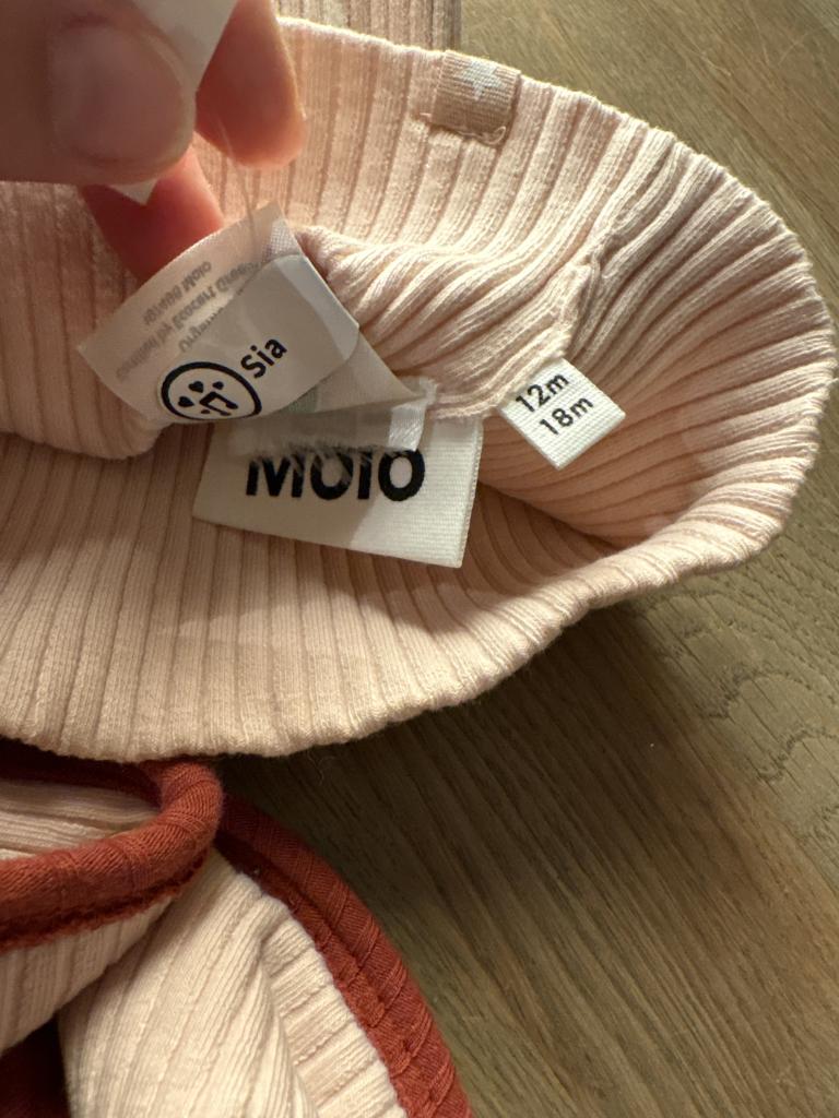 Molo hue og halsedisse