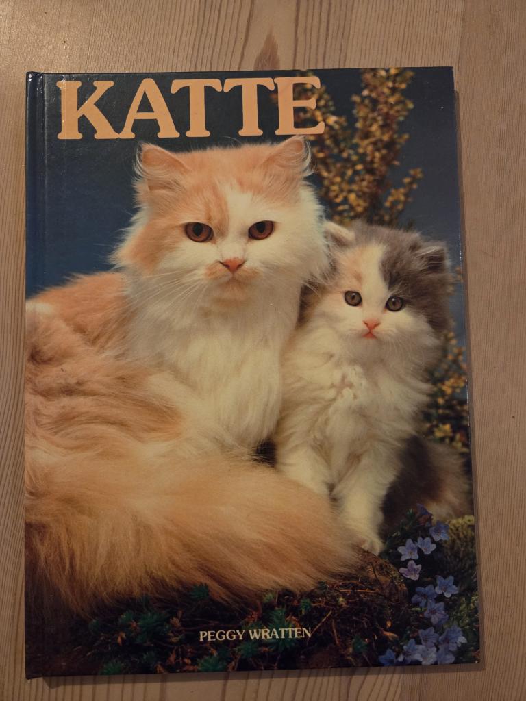 Bog Katte
