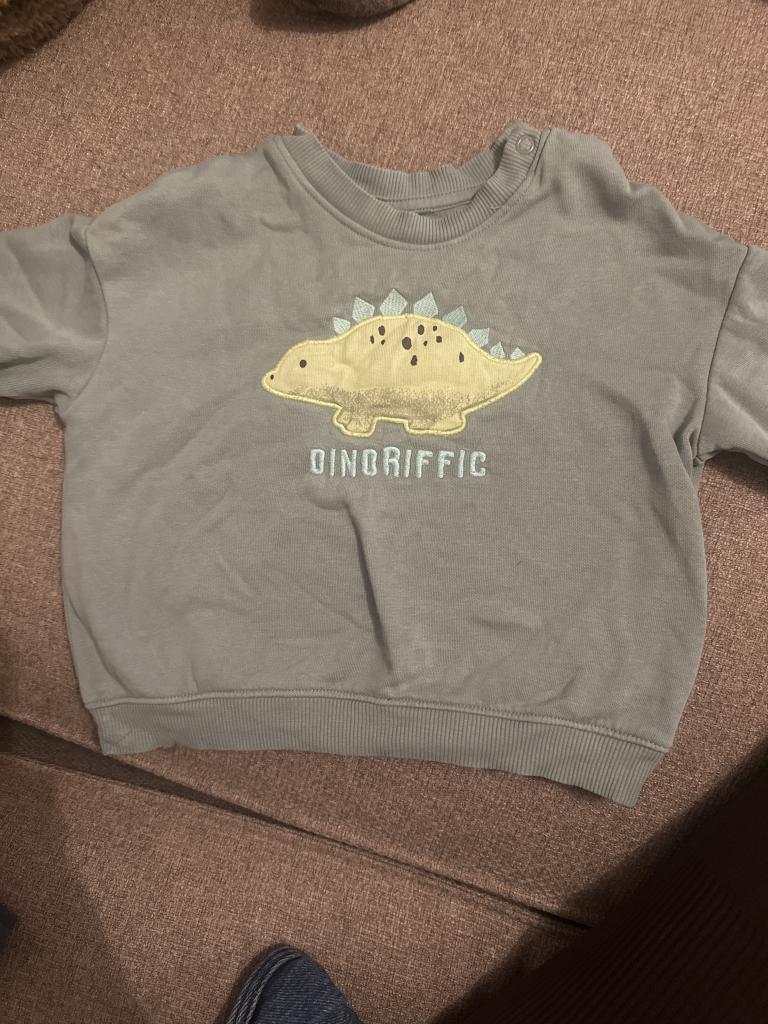 H&M dinosaur sweatshirt
