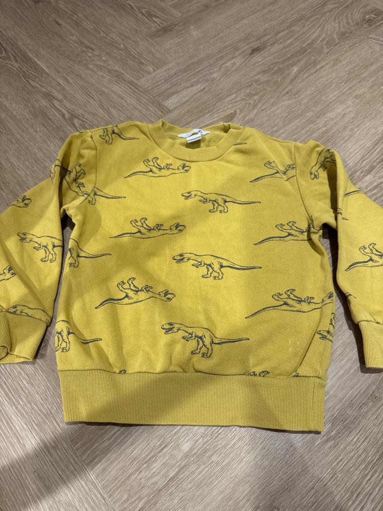H&M dinosaur sweatshirt