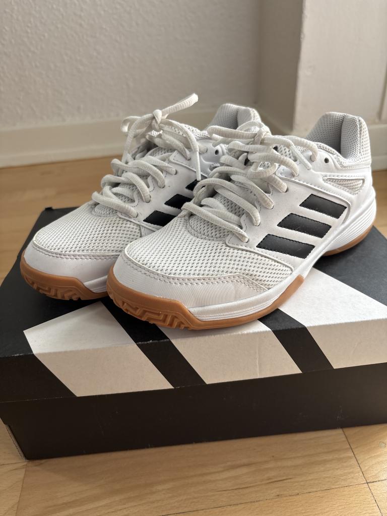 Adidas indendørssko
