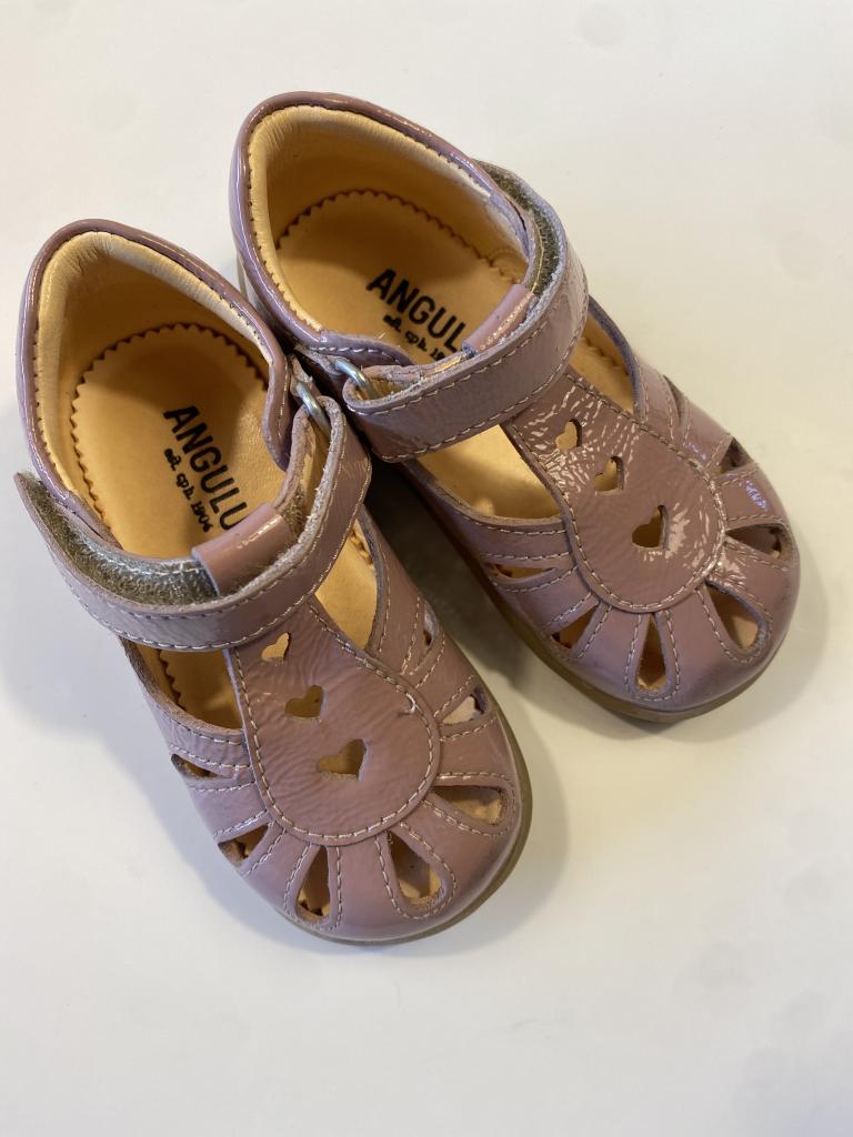 Angulus sandaler