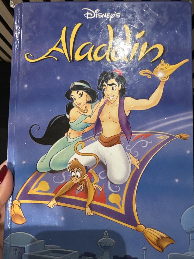Aladdin bog