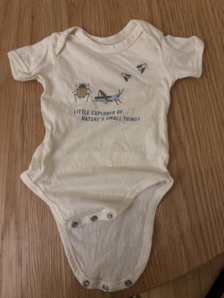 Hvid body med insekter