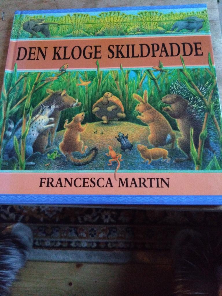 Den klog skildpadde