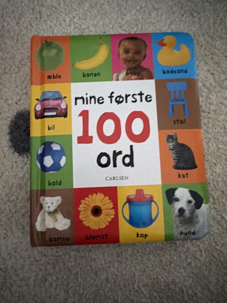 Mine første 100 ord