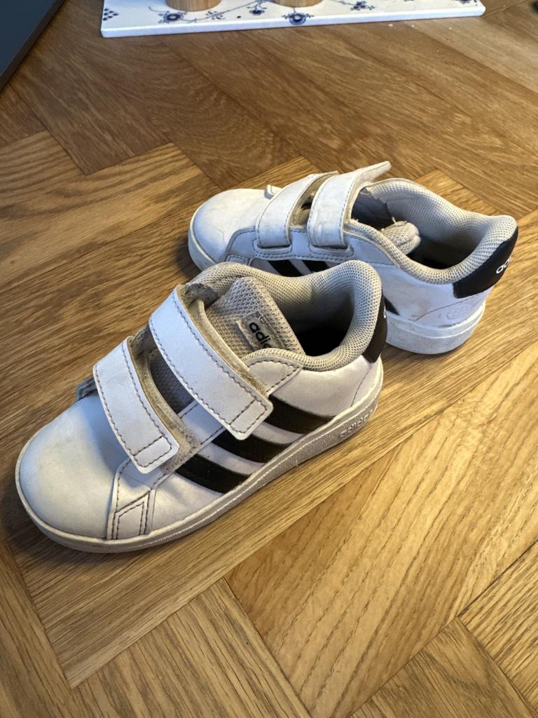 Adidas sneakers