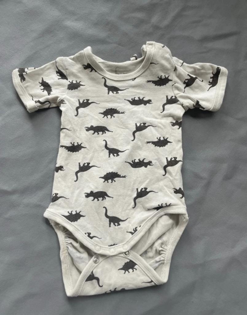 Dino body str. 56