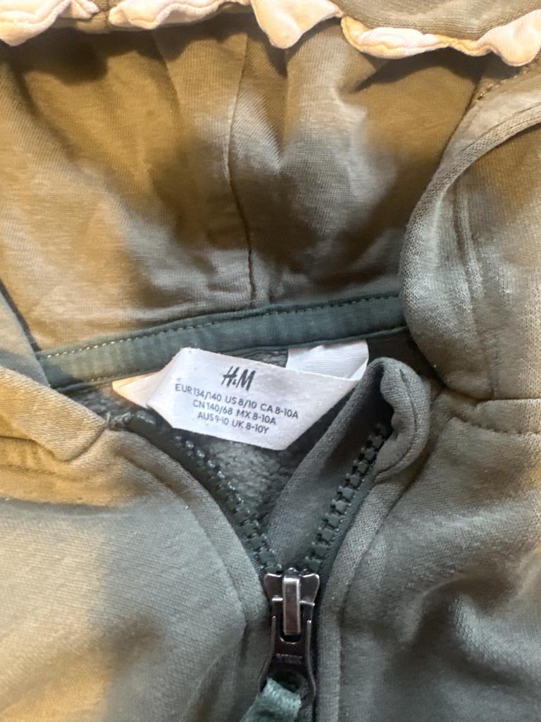H&M dinosaur sweatshirt