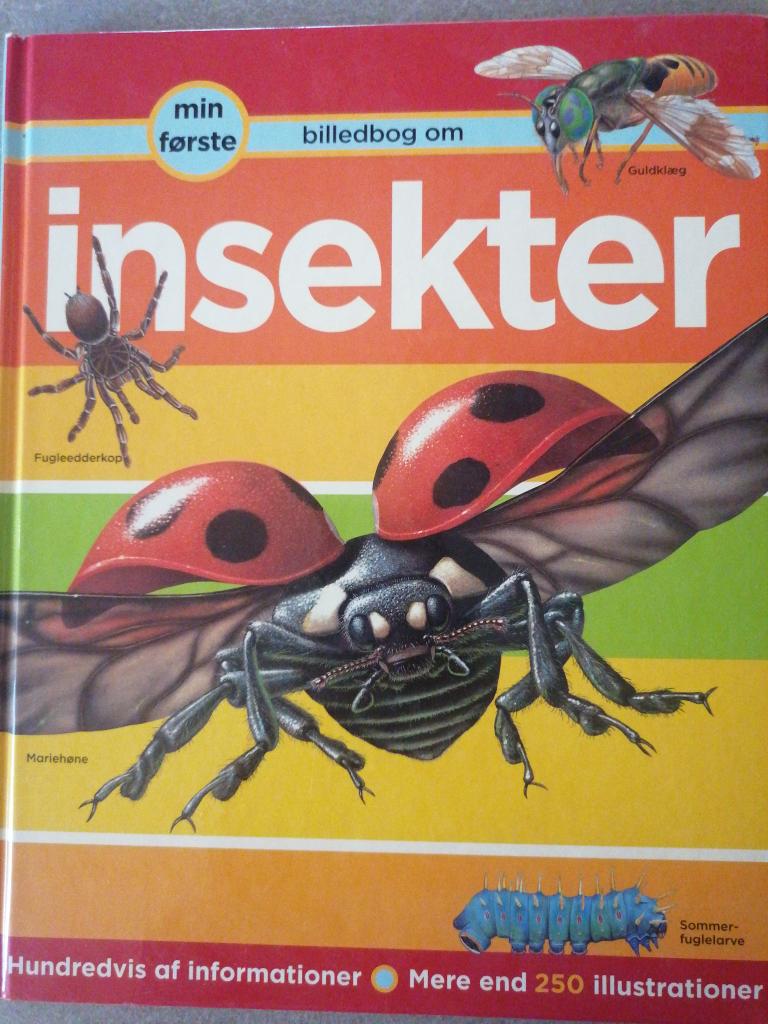 Billedbog om insekter