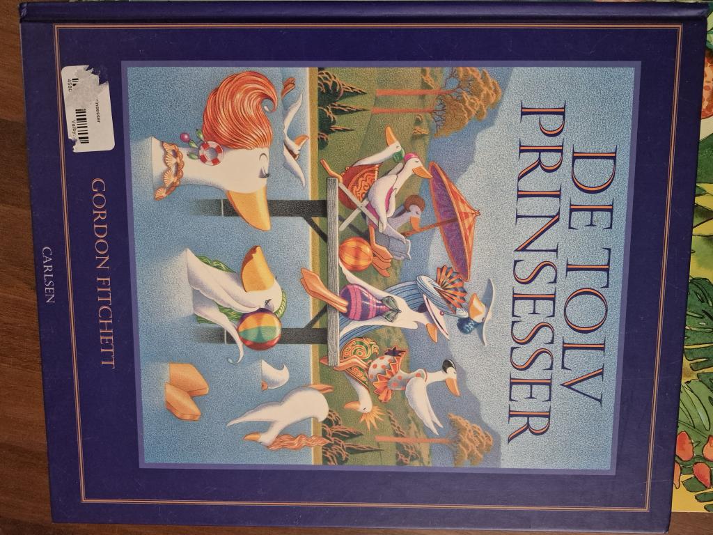 De tolv prinsesser bog