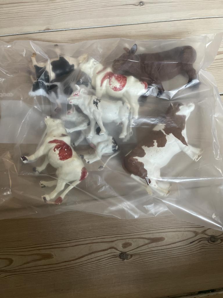 8x køer