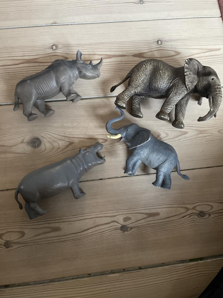 4 x Afrikadyr