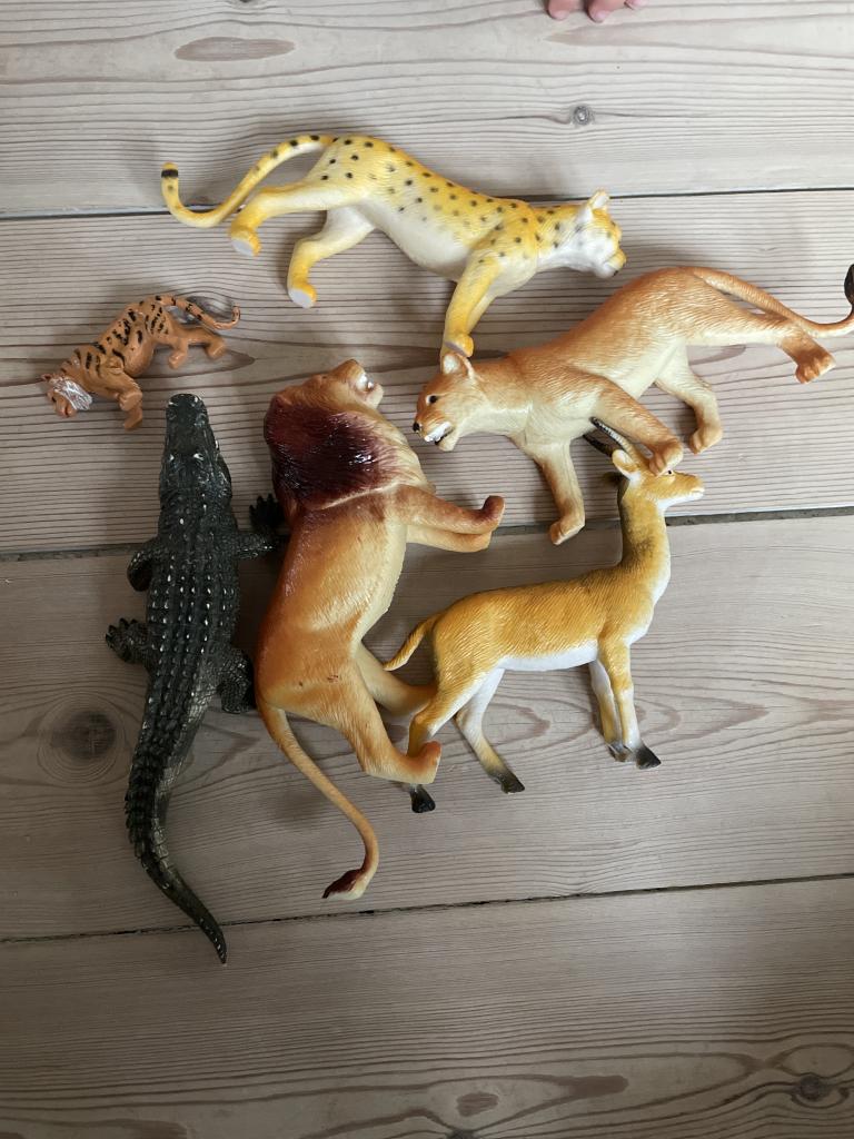 6 x Afrikadyr