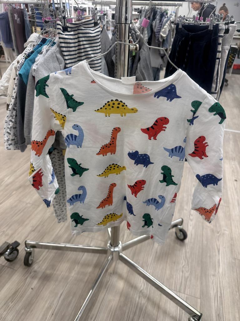 H&M dinosaurus bluse