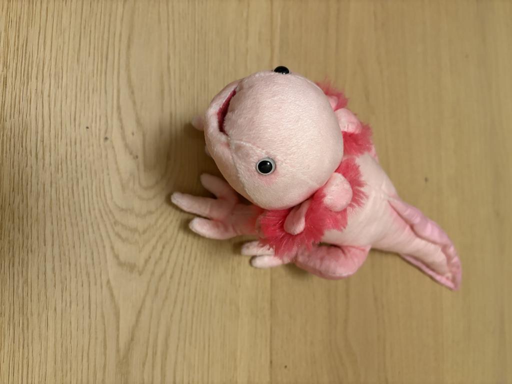 Lyserød axolotl bamse
