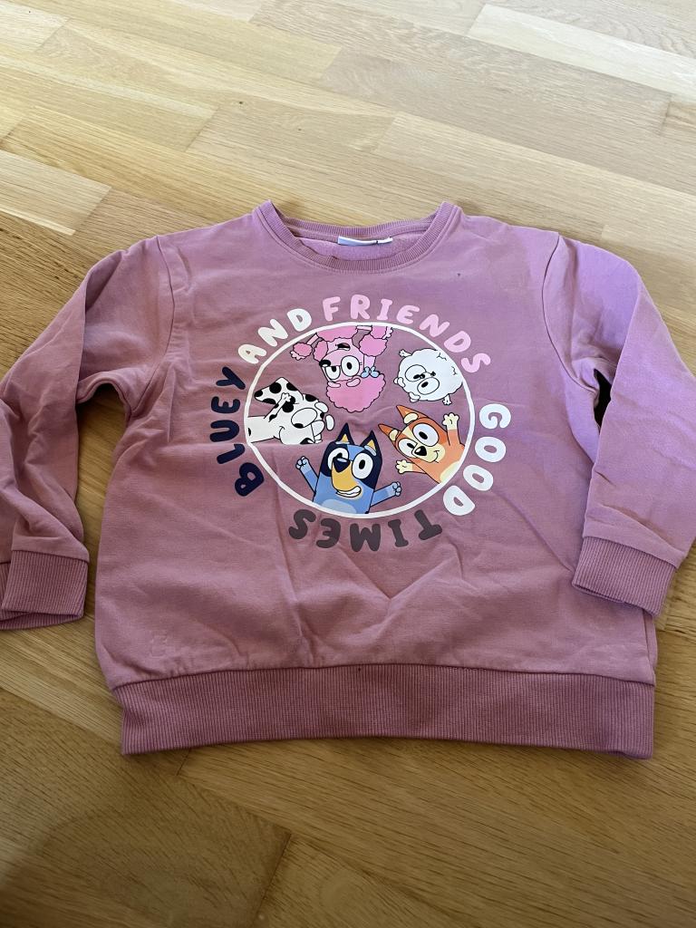 Bluey sweatshirt 104