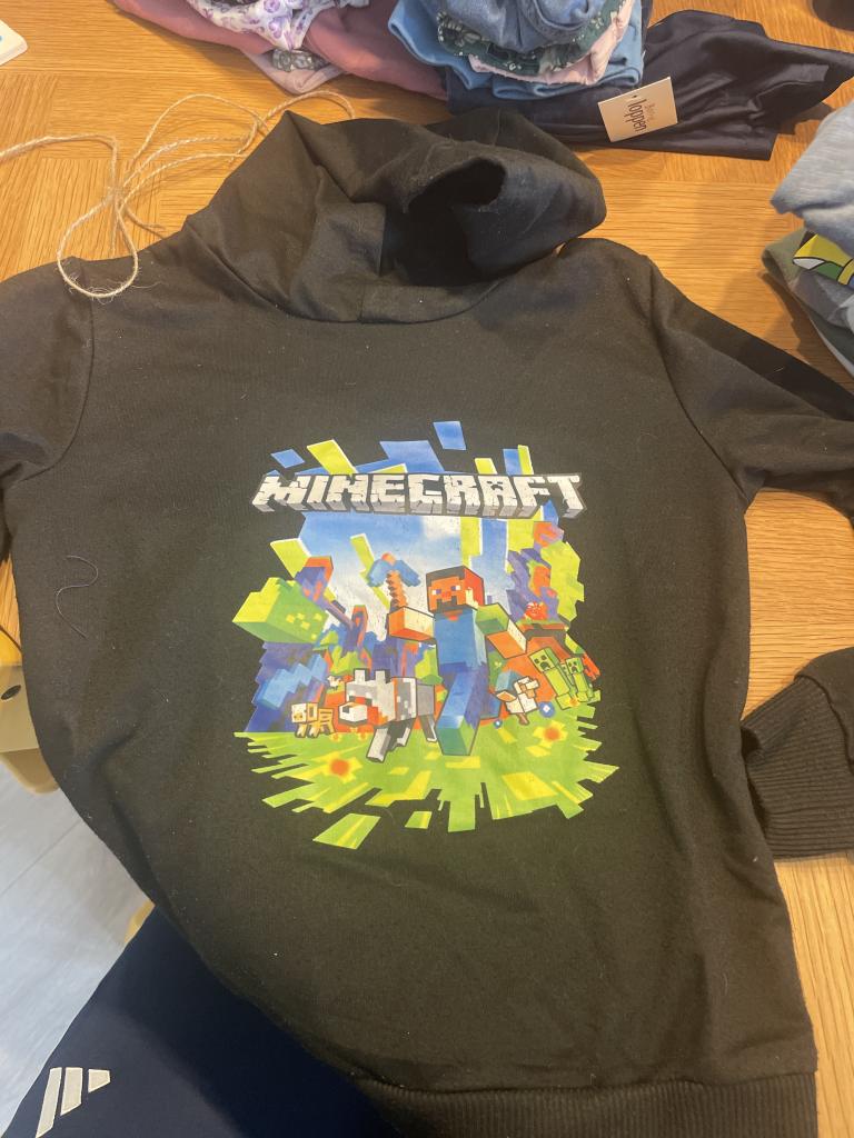 Minecraft hoodie 120
