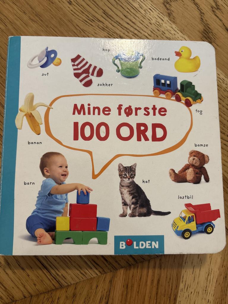 Bog Mine første 100 ord