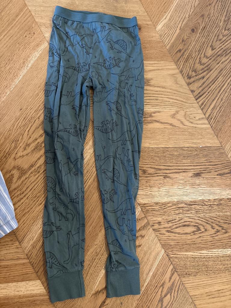 H&M dinosaurus natbuks