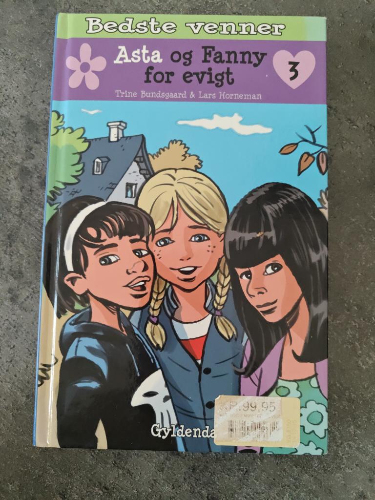 Asta og Fanny 3 bog